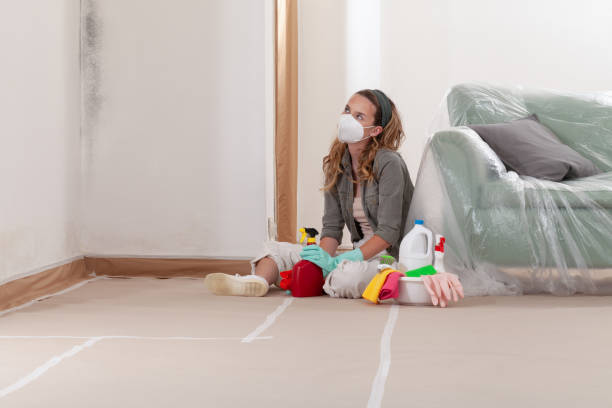Reliable Attic Mold Removal contractor in Abingdon, VA by WQB Mold Removal