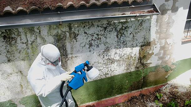 Top rated local Attic Mold Removal specialists in Abingdon, VA